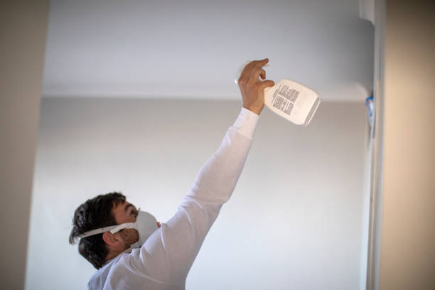 Best Residential Mold Removal  in Lacoste, TX