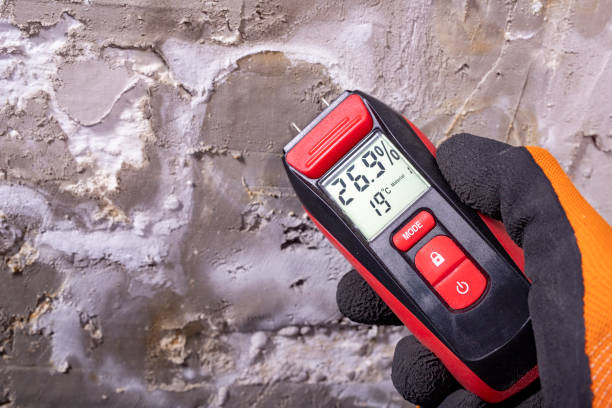 Best Emergency Mold Removal  in Lacoste, TX