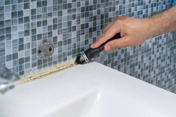 Best Professional Mold Removal  in Lacoste, TX