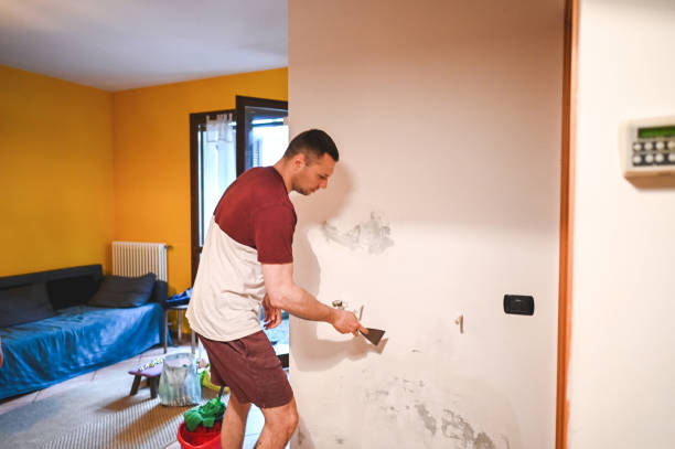 Best Mold Removal Specialists  in Lacoste, TX