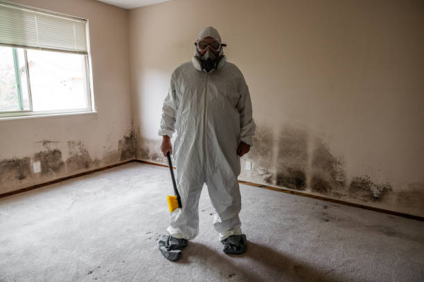 Best Residential Mold Removal  in Lacoste, TX