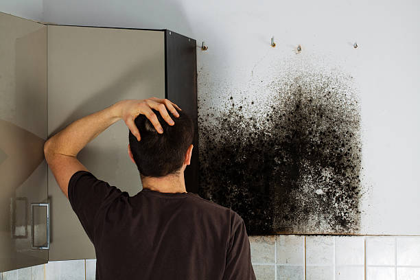 Mold Testing and Removal in Lacoste, TX